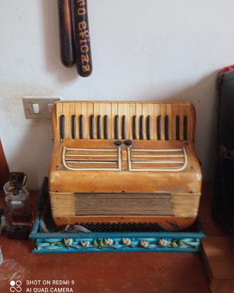 fisarmonica  anni 50