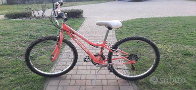 Bicicletta