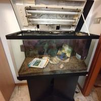 acquario 120 litri e mobiletto