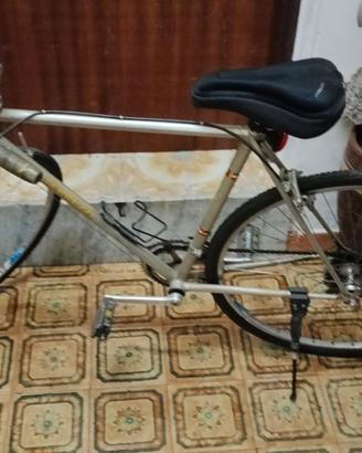 Bici Terruzzi