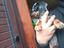 Immagine 4