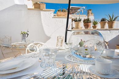 Terracielo indipendente con terrazzo panoramico