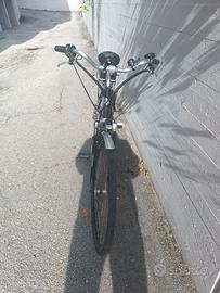 Bicicletta Elettrica