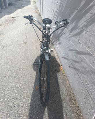 Bicicletta Elettrica