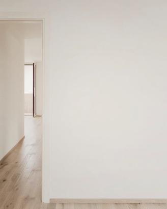 Imbianchini economici italiani Padova