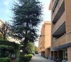 Paderno Dugnano - Rif. 199/2025 U MI