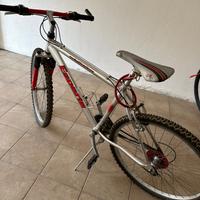 Bici mountain bike