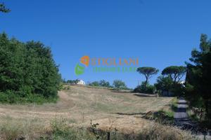 Terreno Agricolo, zona Quercigliole - Ripalimosani
