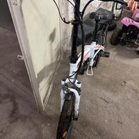 bicicletta elettrica