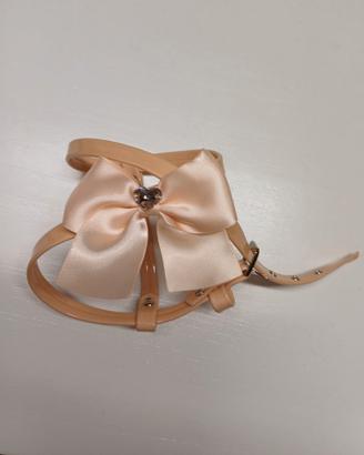 Pettorina in vernice