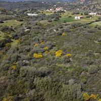 Terreno - Golfo Aranci
