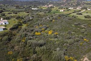 Terreno - Golfo Aranci