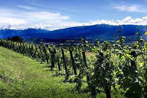 Terreno Edificabile - Lavis