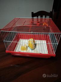 gabbia per criceti 