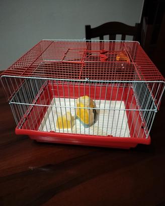 gabbia per criceti 