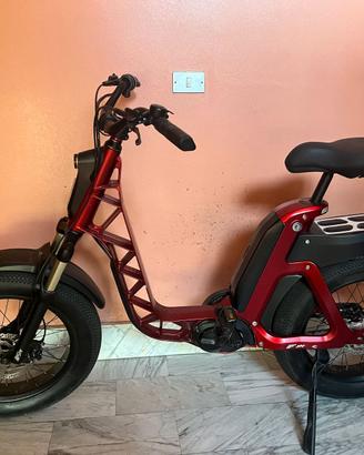 Bici elettrica ISSIMO fantic