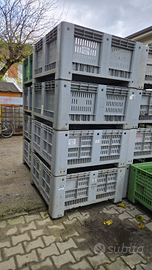 Bins Cassoni frutta