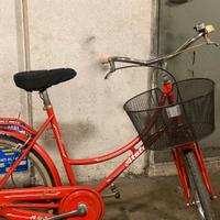 Bicicletta donna