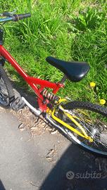 Bicicletta mtb 24