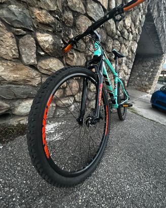 Bici (Mountain bike)