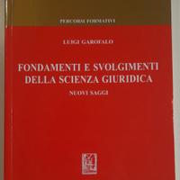 FONDAMENTI E SVOLGIMENTI DELLA SCIENZA GIURIDICA 