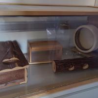 Gabbia per criceti nani Skyline Marrakech