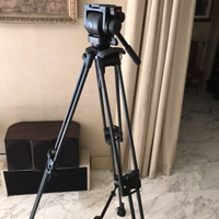 Treppiede professionale manfrotto 542 art