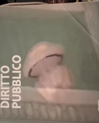 Diritto Pubblico