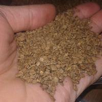 NOCCIOLINO,SANSA e GUSCIO DI MANDORLA