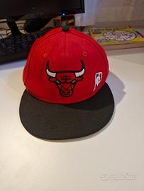 Chicago bulls
