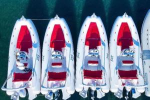 4 pezzi gommone joy 620 gruppo scamar