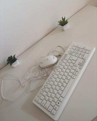 Kit MSI Bianco Tastiera + Mouse