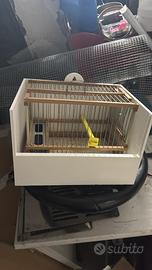 PORTA GABBIA PER CARDELLINO