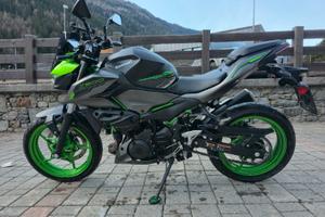 Kawasaki z500 2024