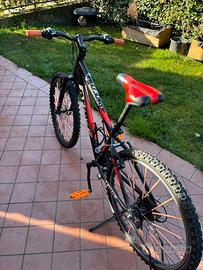 Bici  (leggere descrizione)