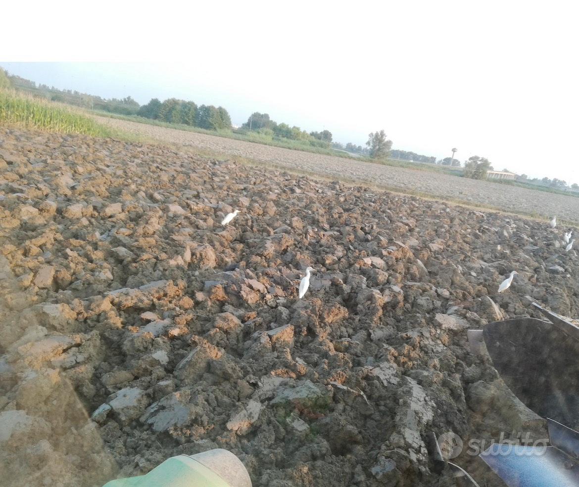 Terreno agricolo - Vista 3