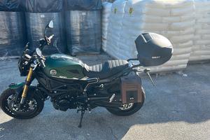 Benelli Leoncino 800 - 2024