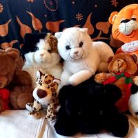 Lotto peluches: gatti, orsetti, ecc