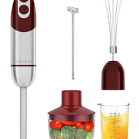 Frullatore a immersione MegaWise Pro Titanium Rein