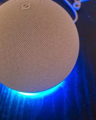 Echo dot ultimo mod. +  1 presa smart Alexa wifi