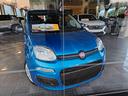 fiat-panda-1-0-firefly-s-s-hybrid-pandina