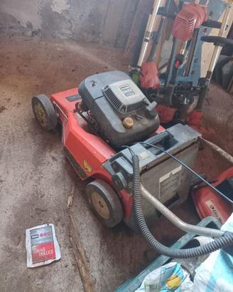 Decespugliatori a spinta e a braccio