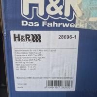 Molle H&R Cupra Formentor, VW, Skoda, Seat