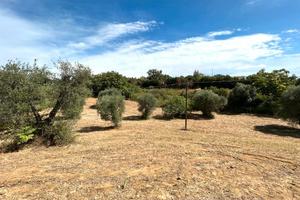 Terreno agricolo edificabile - Pisticci