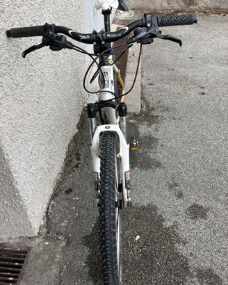 MTB BIANCHI REPLICA OLIMPIADI 2004