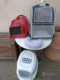gatto che passione!!