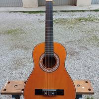 Chitarra acustica