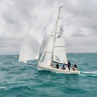 Laser SB20 monotipo