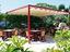 Immagine 7
