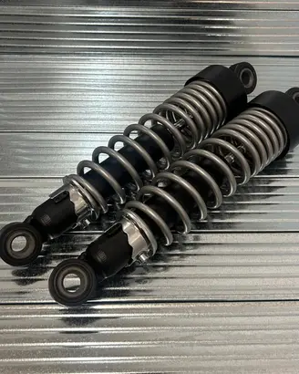 Sospensioni posteriori per Triumph Street Twin 900